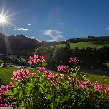 Апартаменты Kornbauernhof *